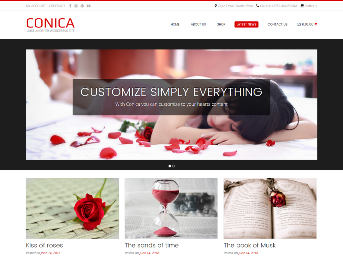 free wordpress theme conica