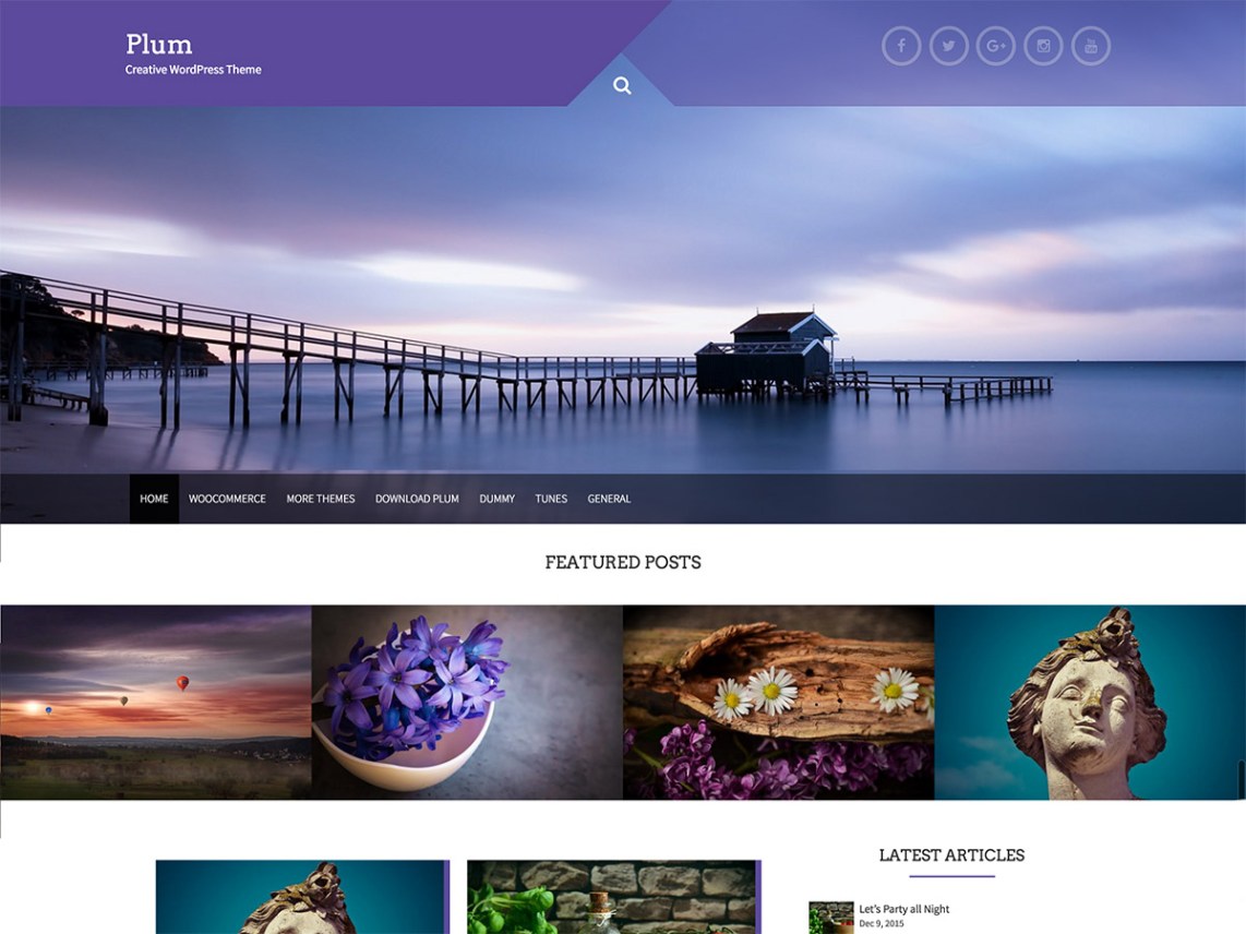 free wordpess theme plum