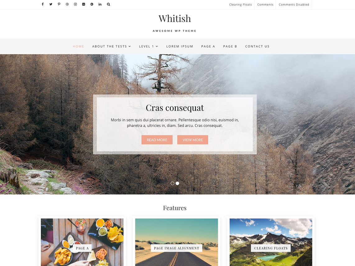 free wordpress theme whitish lite