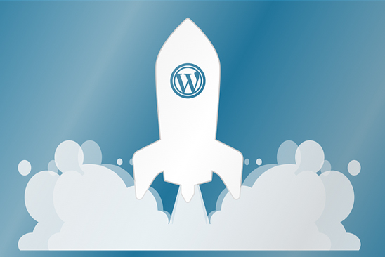 Wordpress Advantages